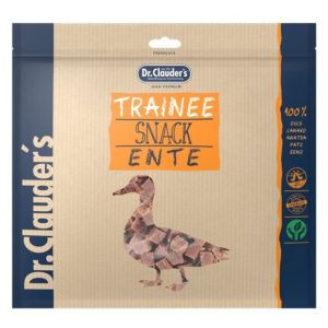 Trainee Ente 500