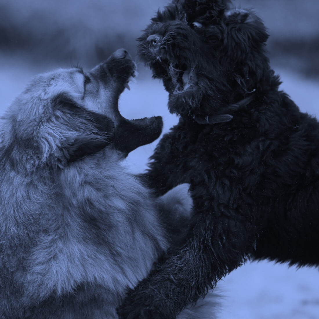 Kommunikation und Ausdruck