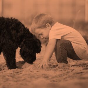 Hund & Kind: Starkes Team