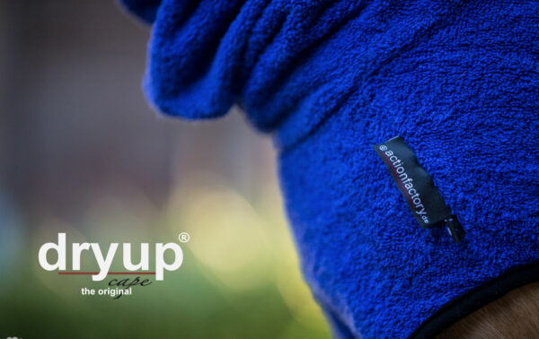 dryup cape blueberry – Bild 5