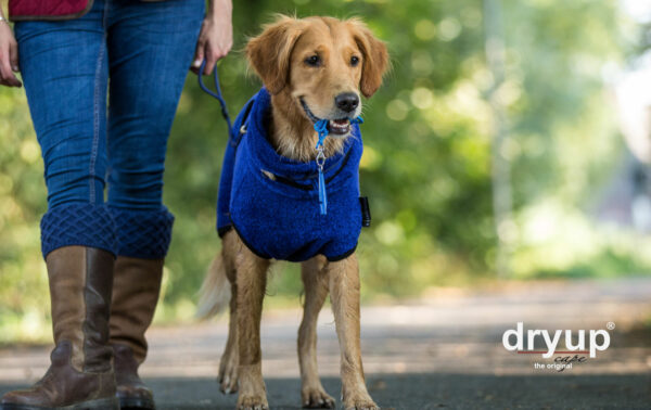 dryup cape blueberry – Bild 3