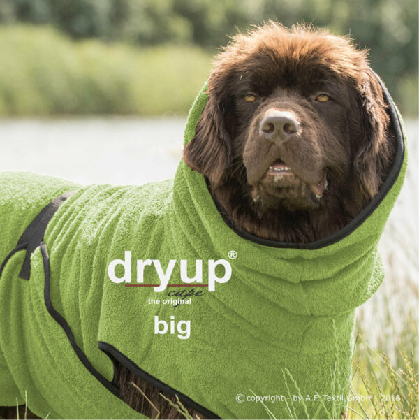 dryup cape BIG kiwi