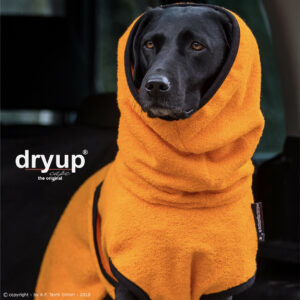 dryup cape clementine