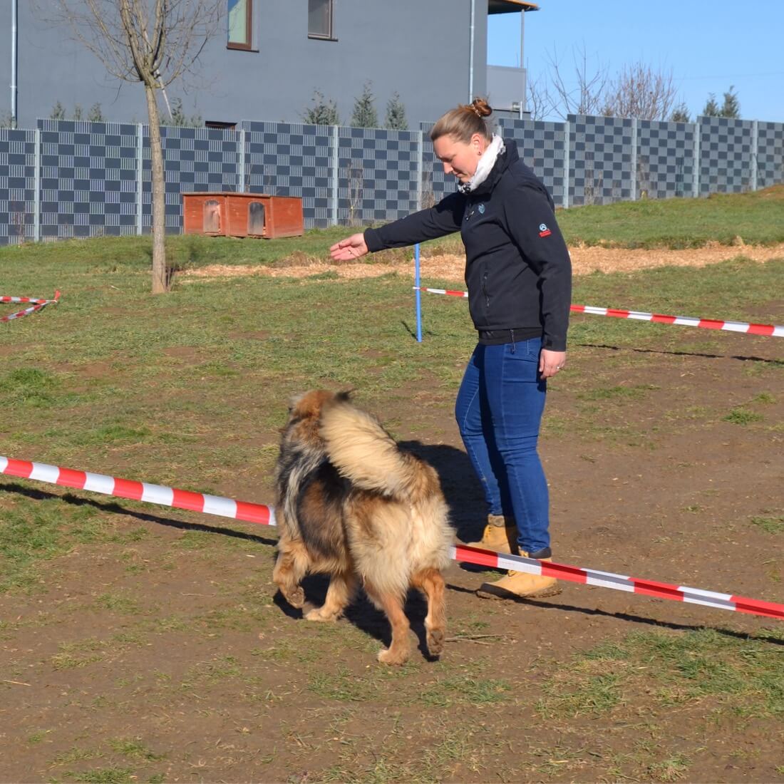 Einführung körpersprachliches Longieren