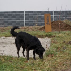 Anti Giftköder Seminar - Futter gerne liegen lassen