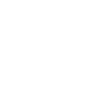 TomDog