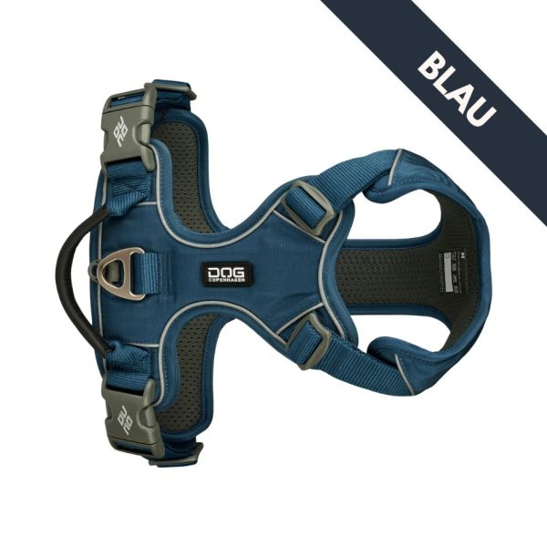 Pro_Blau