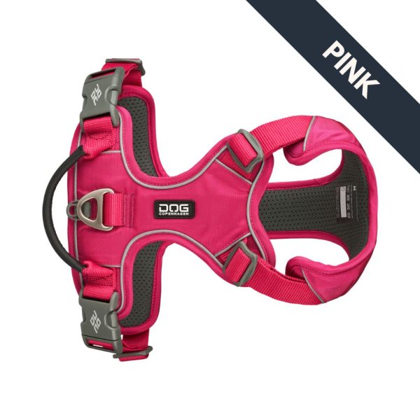Pro_Rosa