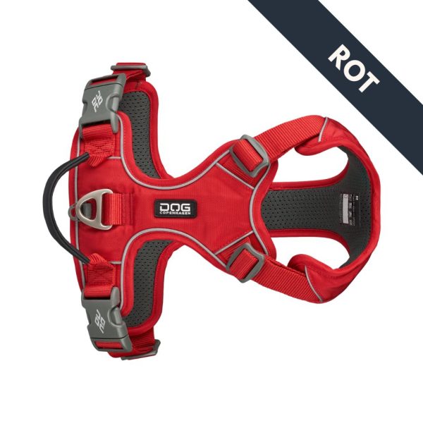 Pro_Rot