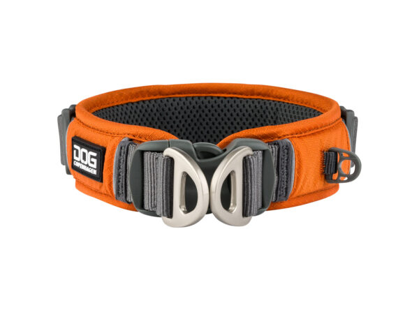 DOG Copenhagen V2 Explorer Collar – Bild 4
