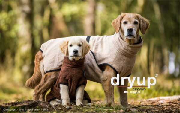 dryup cape sand – Bild 4