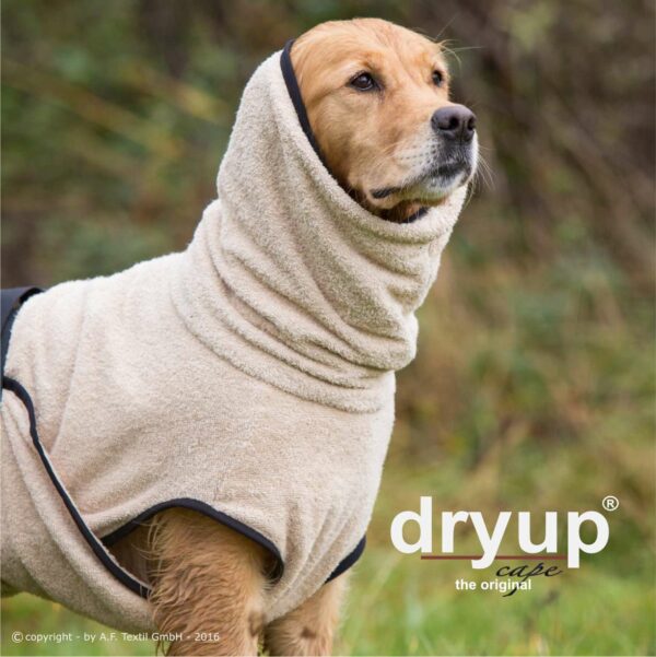 dryup cape sand