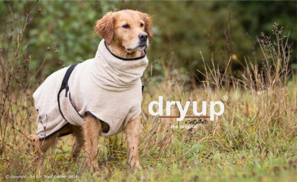 dryup cape sand – Bild 3