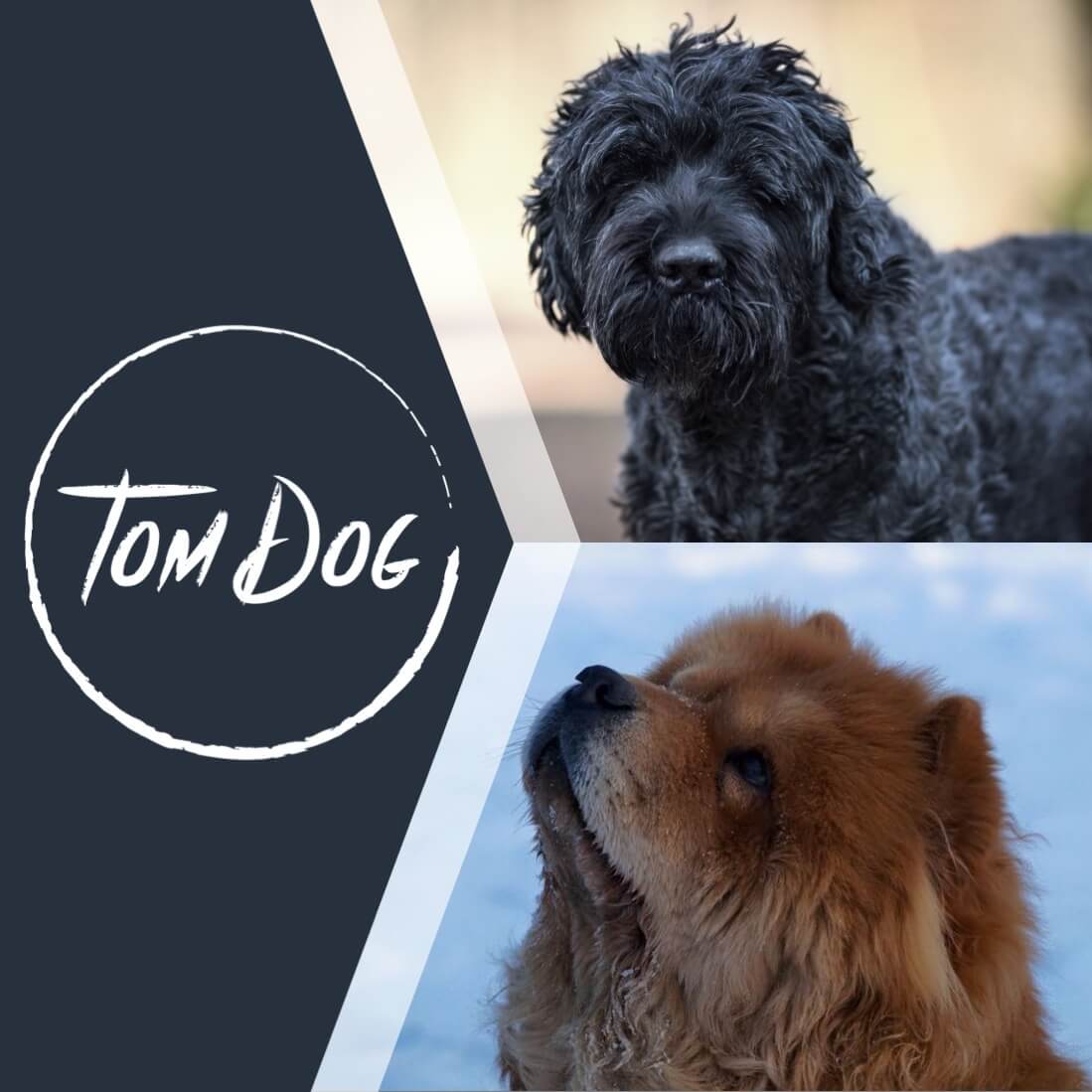 www.tomdog.de