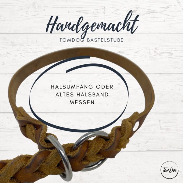 Fettleder Halsband The Simplest 2cm, Halsumfang frei wählbar mit Takelung & Schnalle Zweifarbig – Bild 4