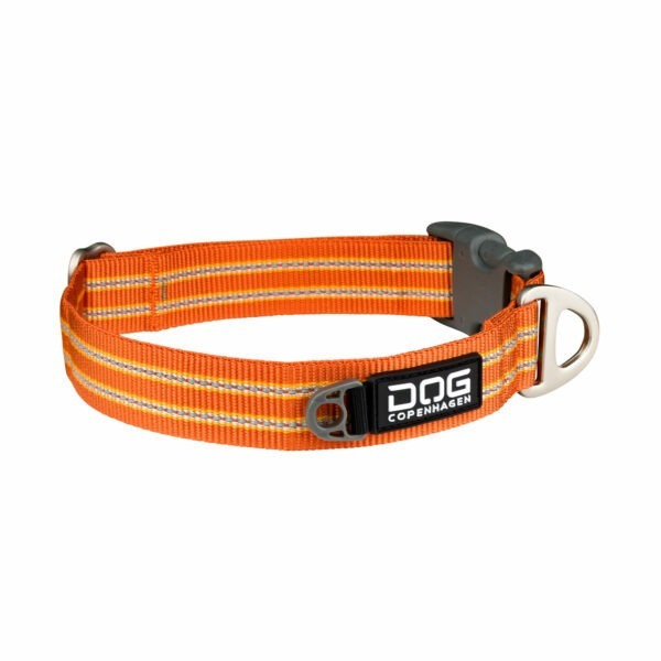 US-Collar-OrangeSun-V1-White.jpg