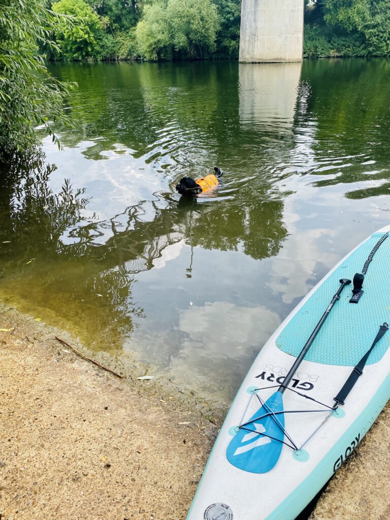 LF_schwimmen