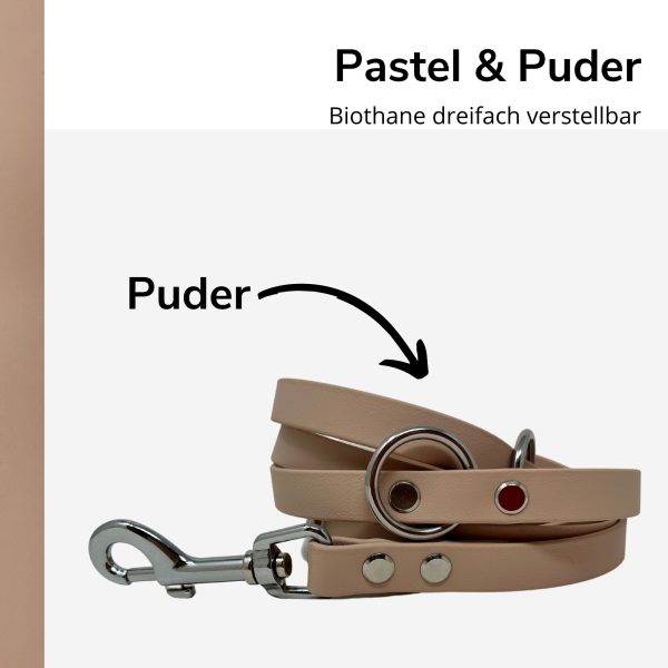 Biothane Leine Pastel und Puder Puder