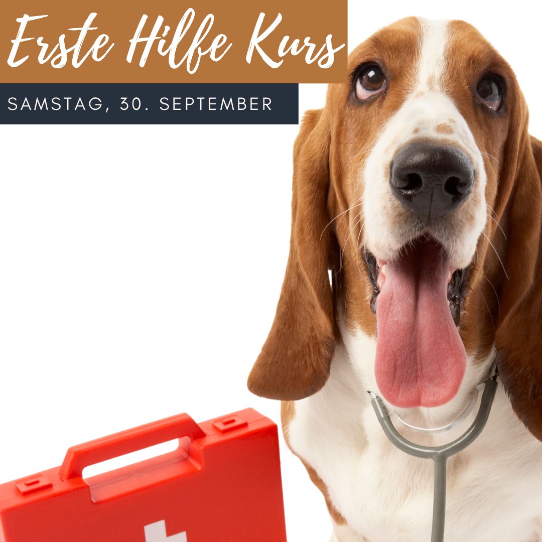 ErsteHilfe