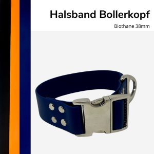 Bollerkopf Titel