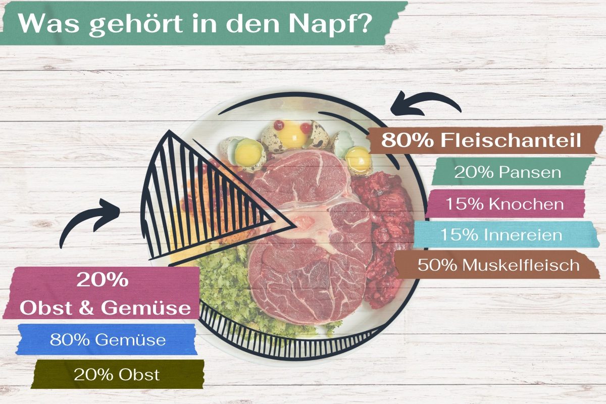 Napf06 Napf06