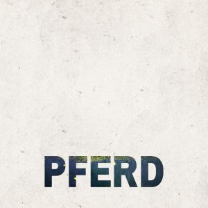 Vom Pferd