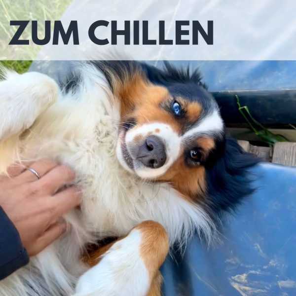 Urlaubsbetreuung VID – Bild 2