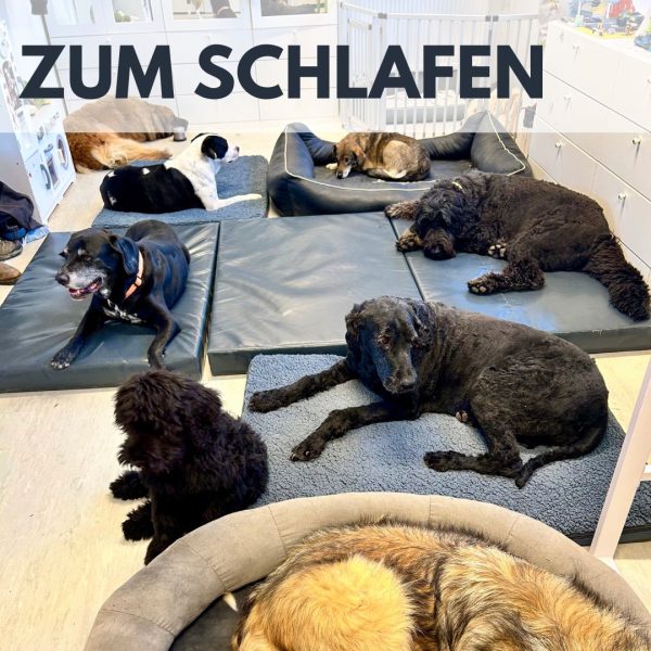 Urlaubsbetreuung VID – Bild 3