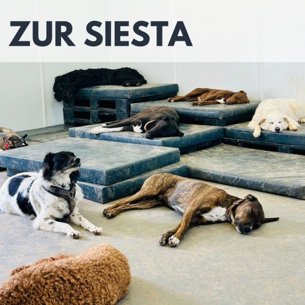 Urlaubsbetreuung VID – Bild 4