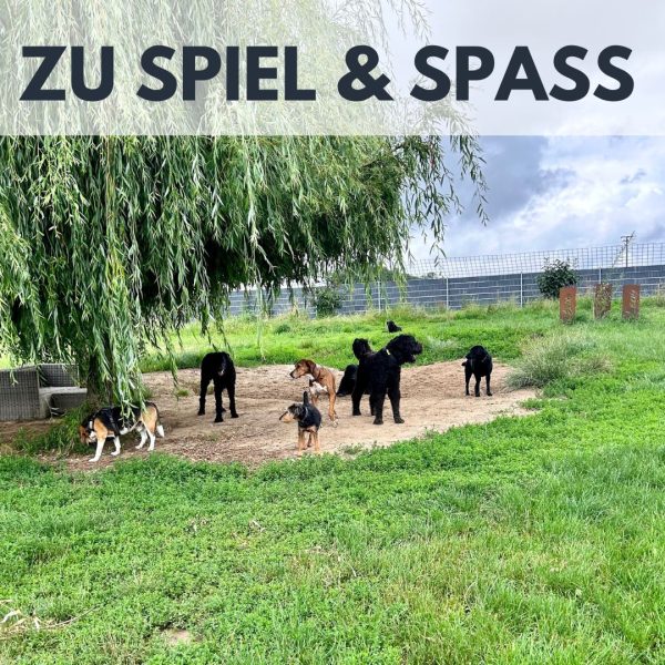 Urlaubsbetreuung VID – Bild 5