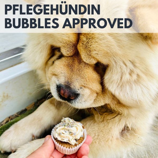 pupcakes_detail3