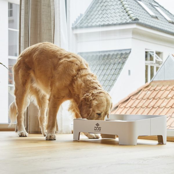 DOG Copenhagen Skagen Foodbar – Bild 32