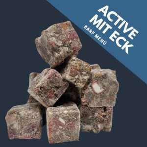 activemiteck