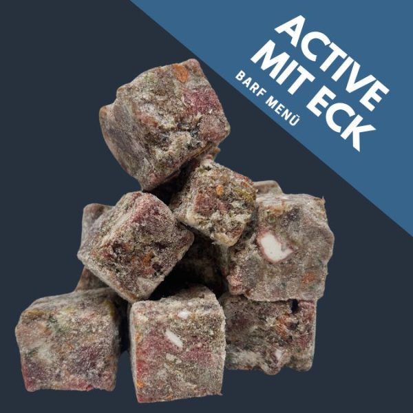 activemiteck