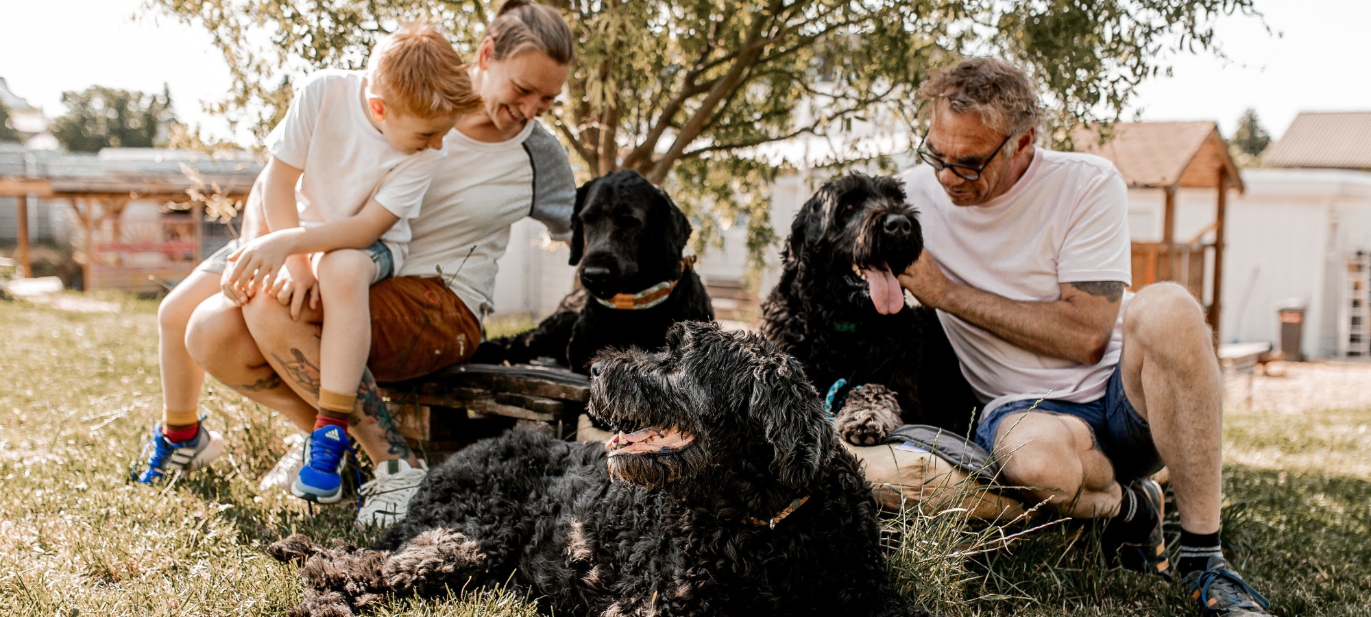 Hundepension