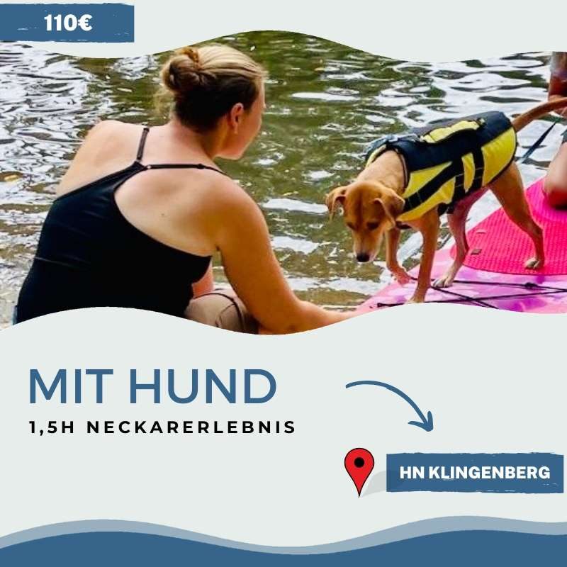 Hund Hund