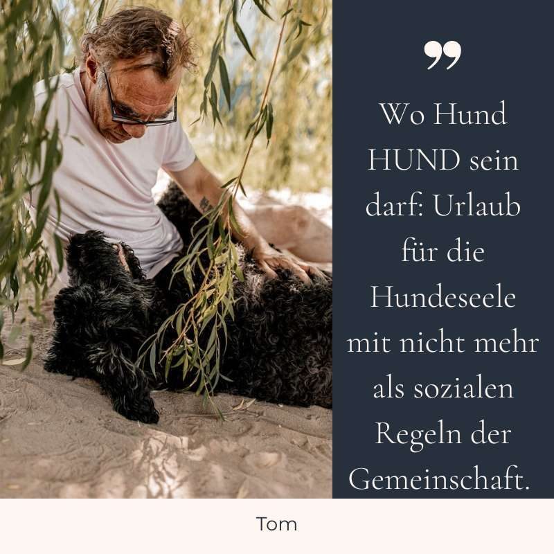 Tom_Startseite